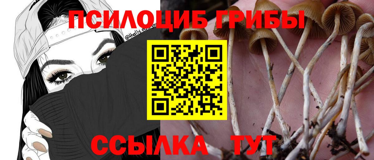 Псилоцибиновые грибы мухоморы Анжеро-Судженск